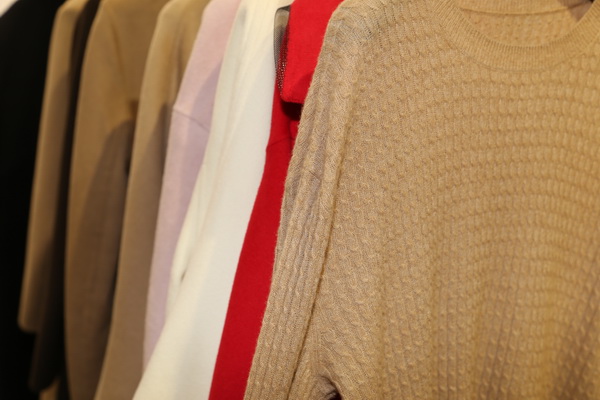 &ldquo;絲駝&rdquo;又一鐘情于駝絨產(chǎn)業(yè)的企業(yè)，綻放2023intertextile